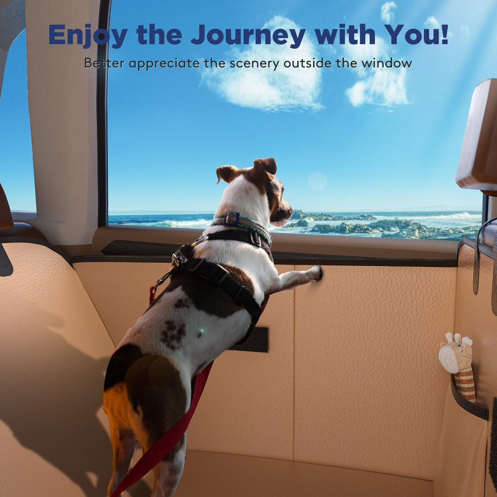 FURTIME XL dog-space focus shows ample room for large breeds.