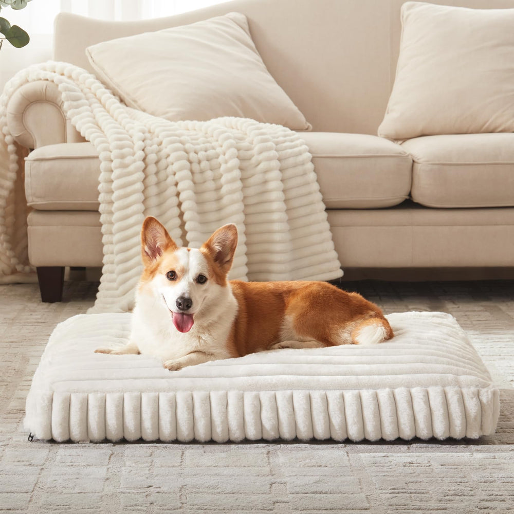 FURTIME XL Dog Bed nap-time scene showing cozy lounging.