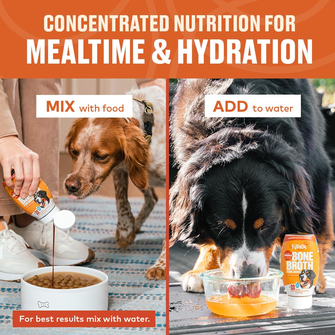 Furvor Chicken Bone Broth dog bowl shows hydration and flavor enhancement