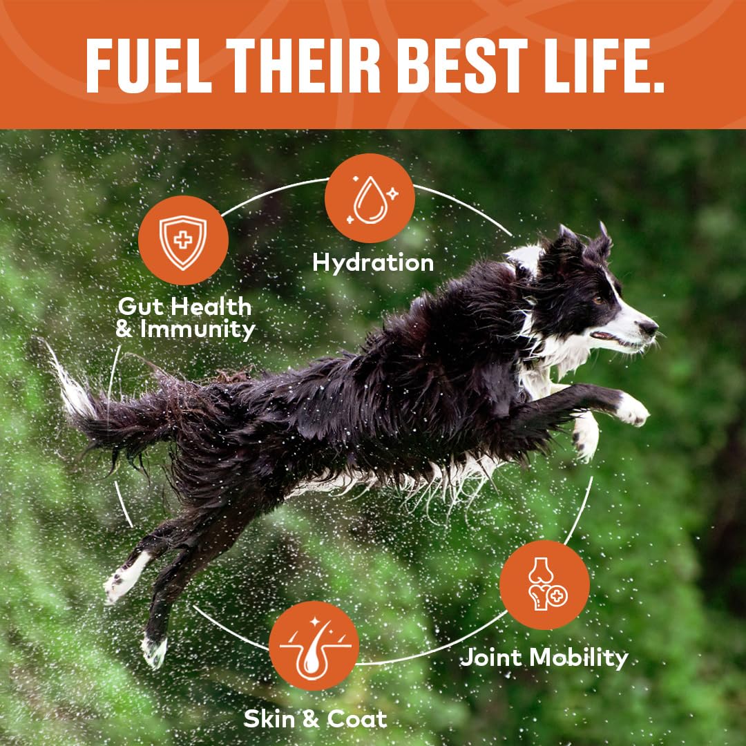 Furvor ingredients label showcases gluten-free and dairy-free formulation for dogs.