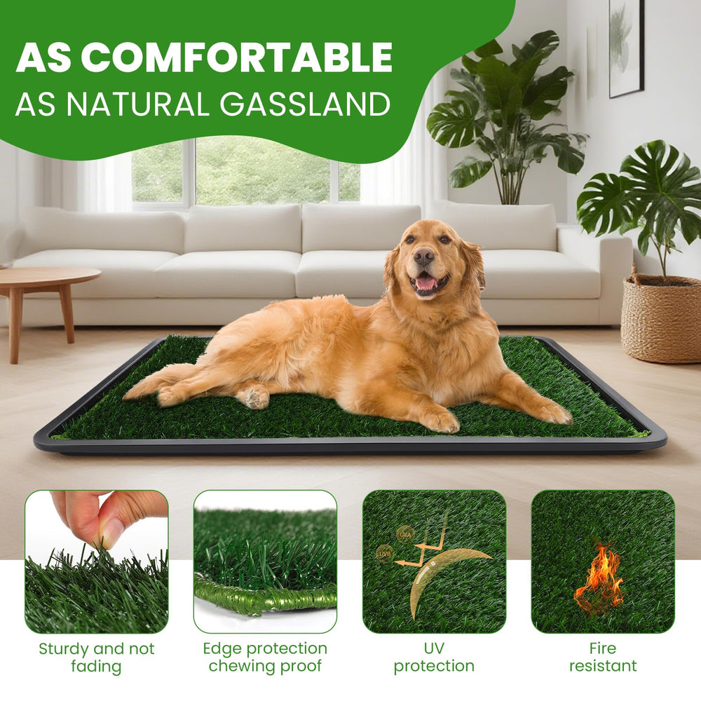 FURWEY indoor-outdoor dog potty shows versatile setup for weather or illness days.