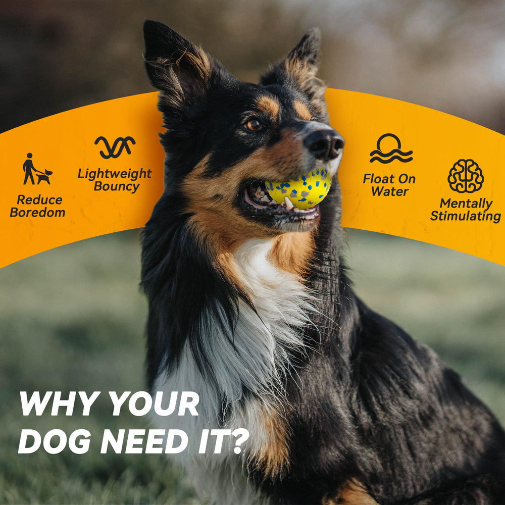 FUSOTO dog ball yellow two-pack image shows convenient training fetch sets.