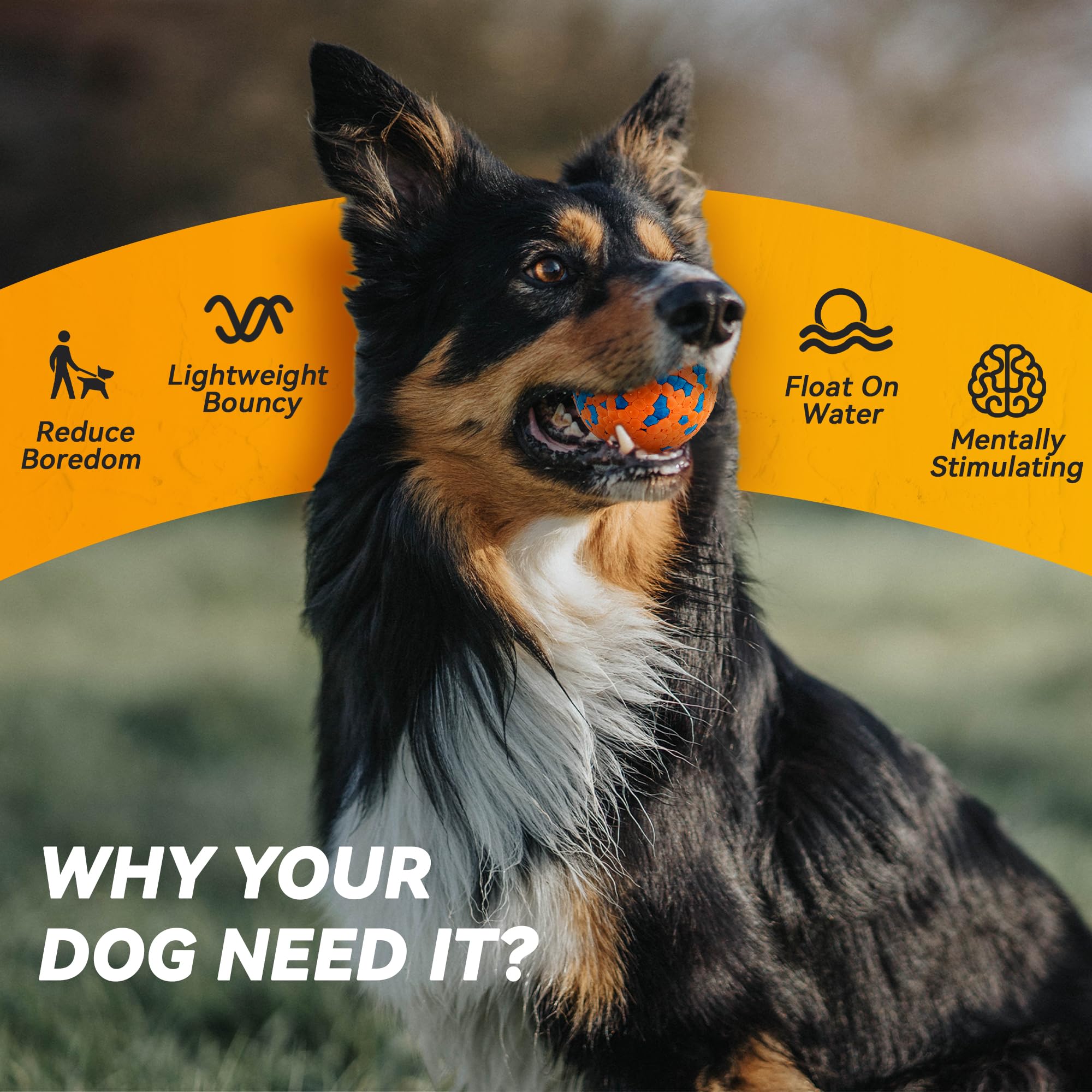 FUSOTO 2.75-inch diameter ball supports mixed-breed and small-to-large dogs.
