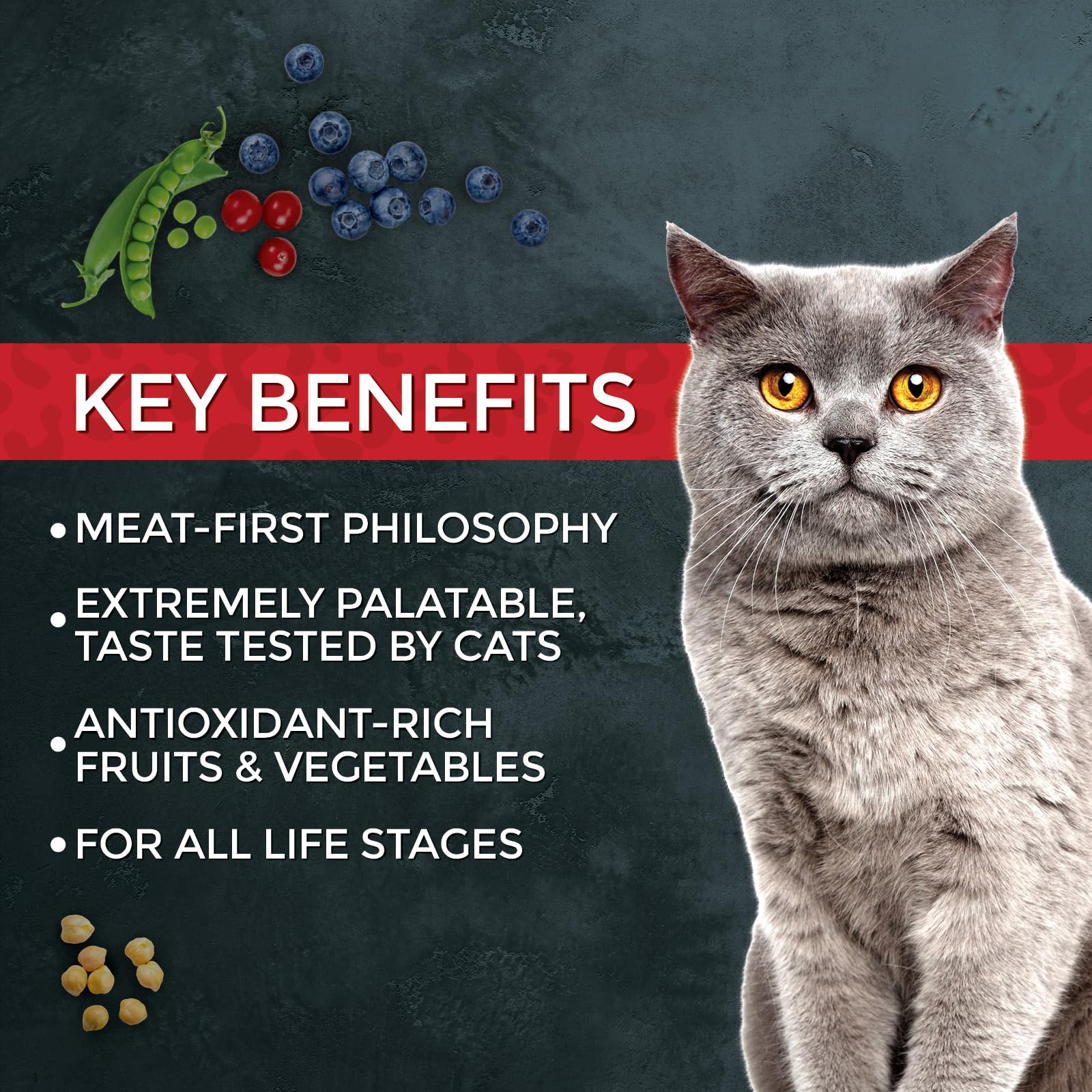 Fussie Cat Market Fresh cat enjoying meal example of strong appetite