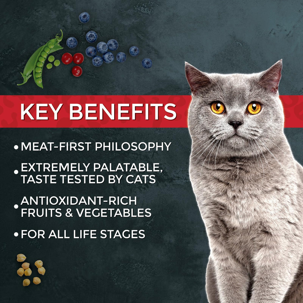 Fussie Cat Market Fresh cat enjoying meal example of strong appetite