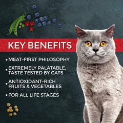 Fussie Cat Market Fresh cat enjoying meal example of strong appetite