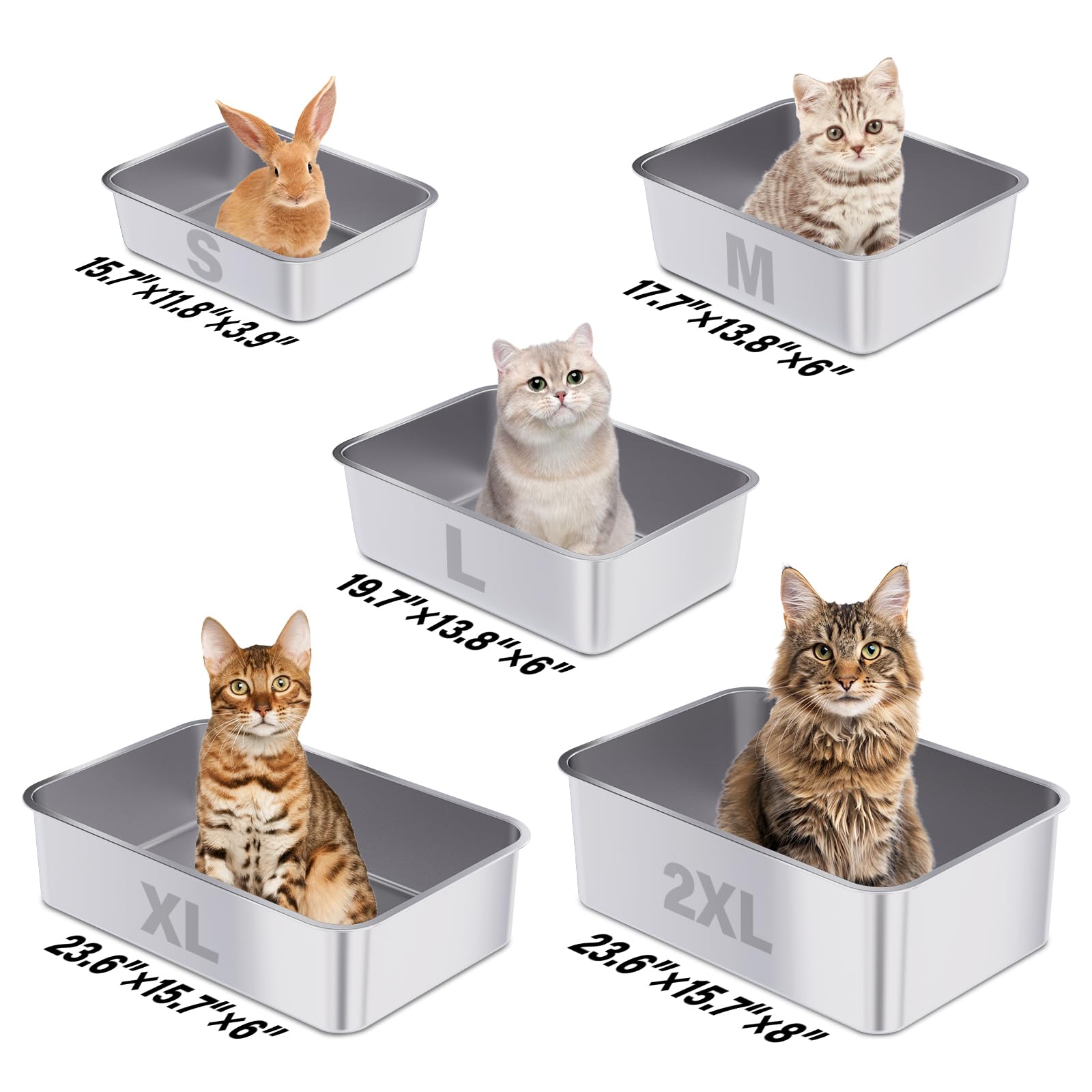 FUTAM two-pack setup offers flexible placement and reduced clutter