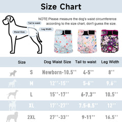 Fuz Bigaza size chart visual showing five sizes for proper fit