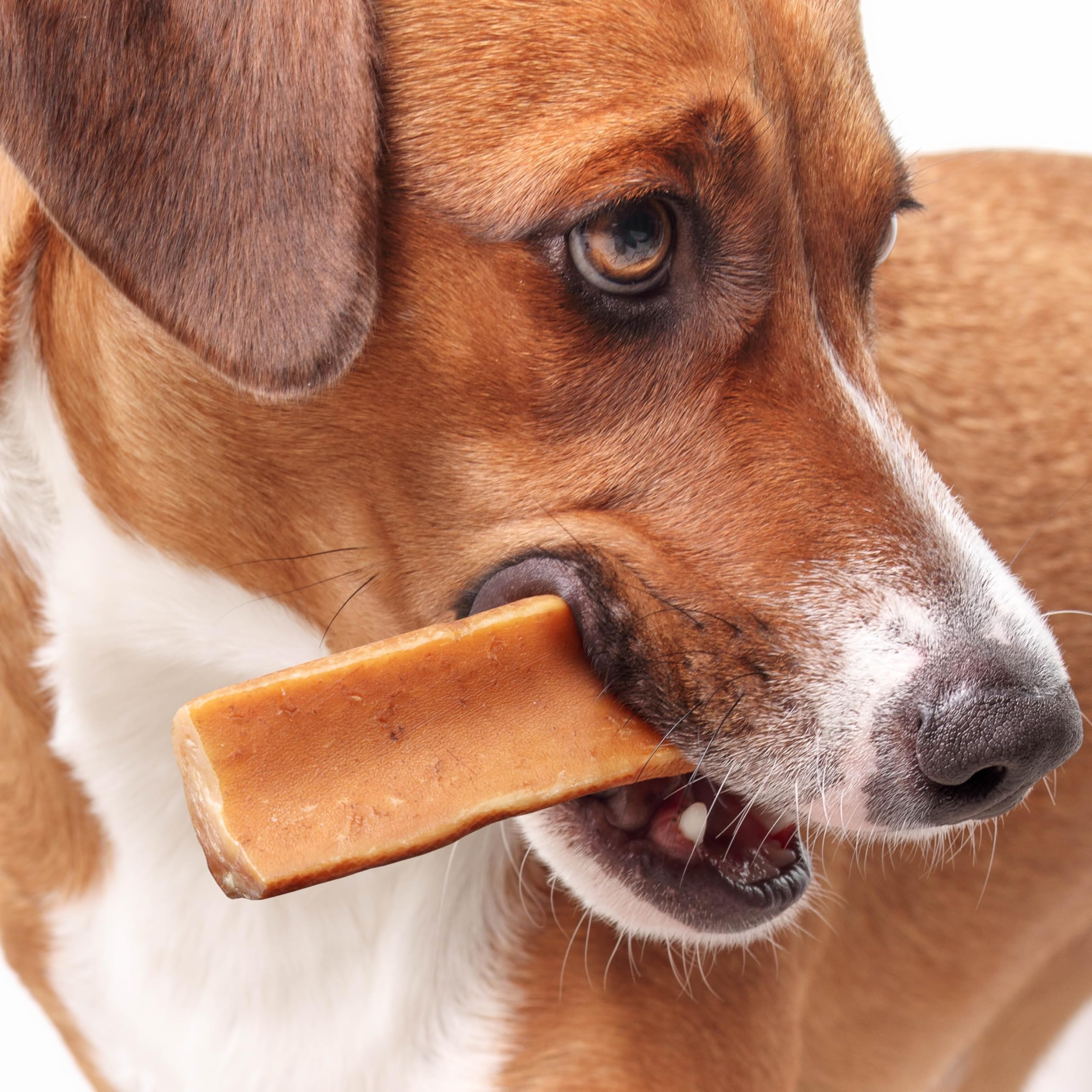 Fuzzl Yak Chews peanut-butter-pack-4 closeup emphasizing creamy taste and lasting chew.