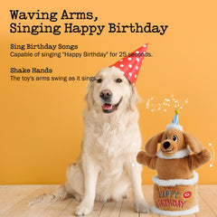 Fuzzwoof Birthday Cake Dog Toy dog with birthday hat during celebration