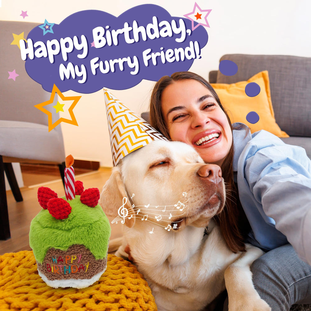 Fuzzwoof birthday cake toy candle close-up highlighting soft materials for gentle chewers.