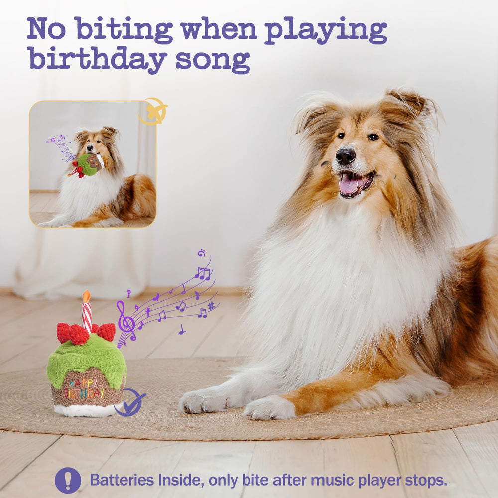 Fuzzwoof care-friendly image illustrating battery safety during dog play.