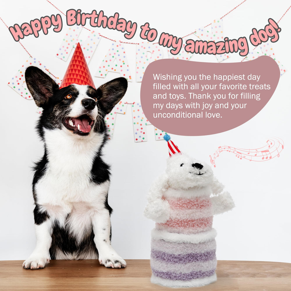 Fuzzwoof Dog Toy with birthday hat ready for festive play.