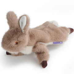 Fuzzwoof No-Stuffing Bunny Squeaky Toy front view for safe chewing and interactive play.