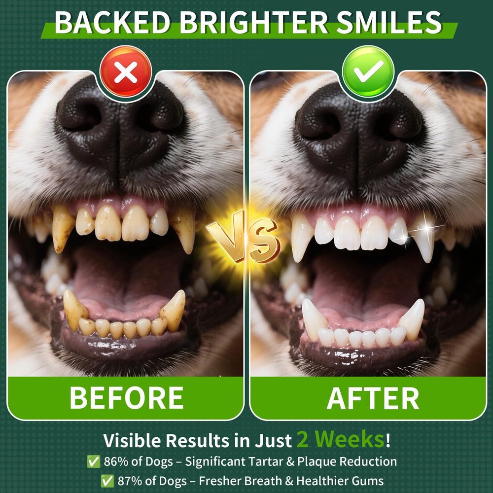 Fuzzycare dental powder measuring spoon ready for precise daily dosing.