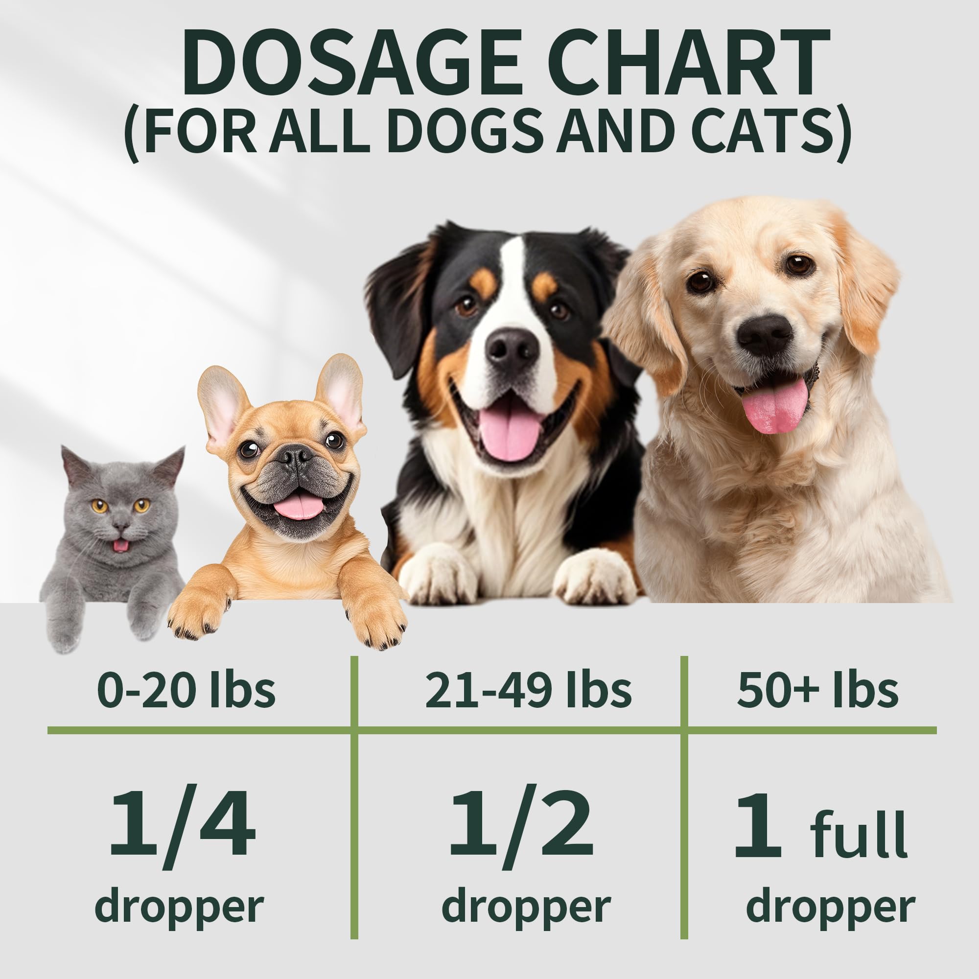 Joint mobility support for aging dogs and cats with Fuzzycare hemp oil.