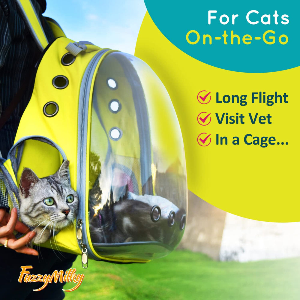 FuzzyMilky calming collar blue on sofa suggests reduced stress during playtime and lounging
