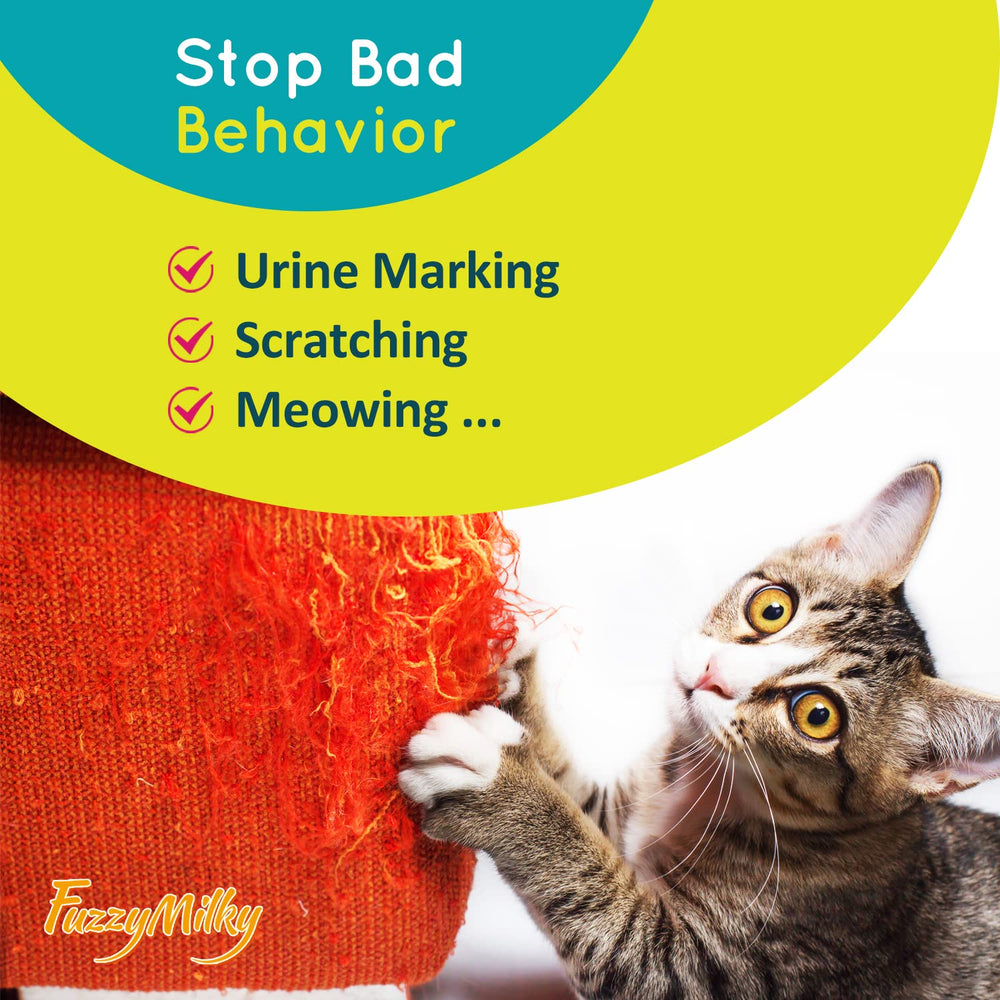 FuzzyMilky calming collar blue near vet signals support during visits and carrier prep