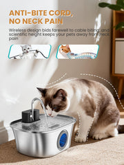 FWMB Cat Fountain Stainless Steel 108oz design for durability and easy cleaning