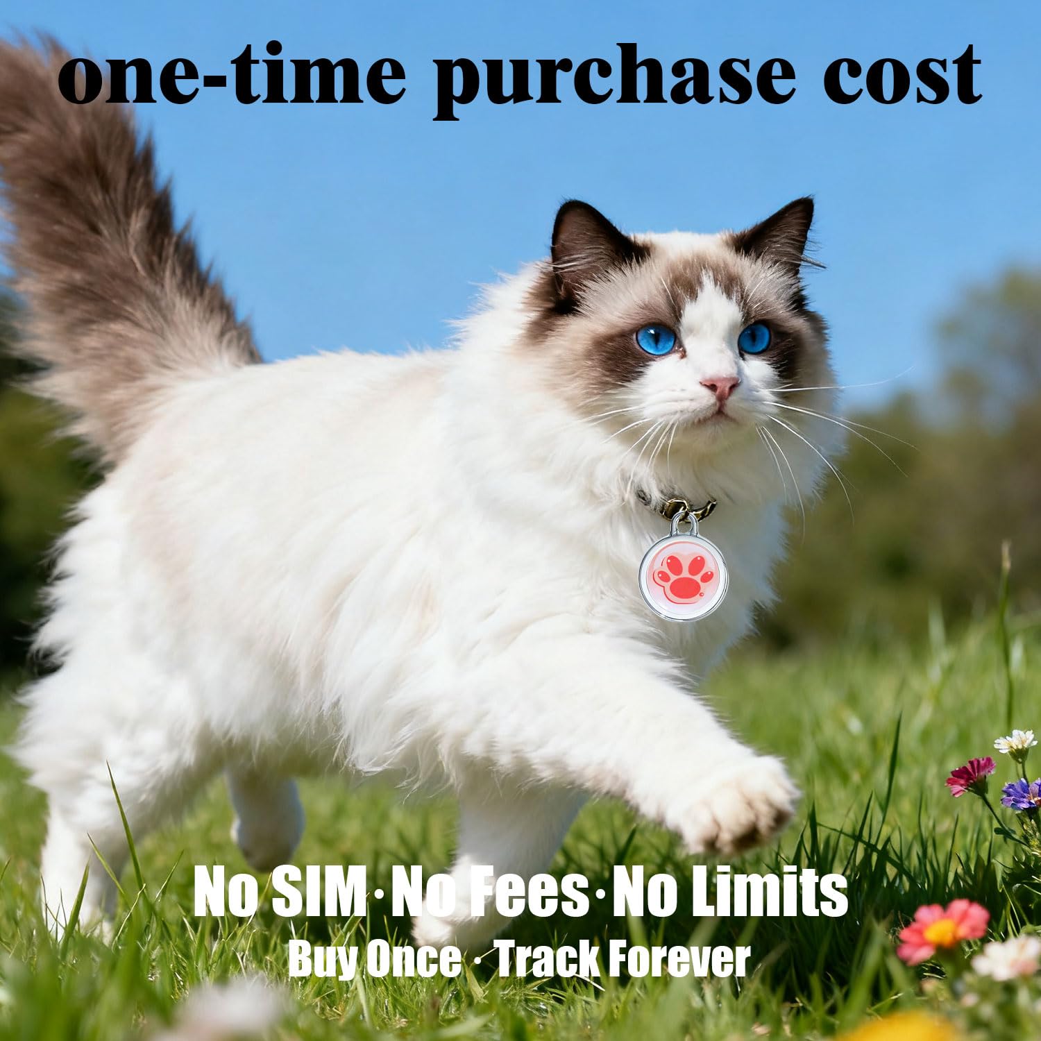 FXAJID free app no-subscription full features with one purchase