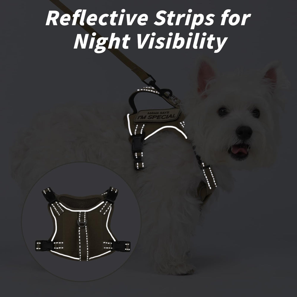 FXGOING adjustable neck and chest straps ensure a secure fit for different small breeds.