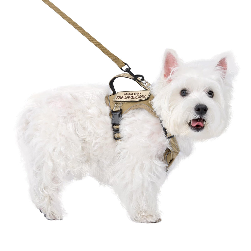 FXGOING tactical dog harness for small dogs with reflective coating improves nighttime visibility for walks.