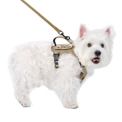 FXGOING tactical dog harness for small dogs with reflective coating improves nighttime visibility for walks.