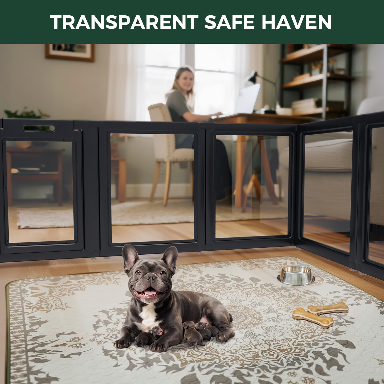 FXW AuraSpace transparent panels provide clear view and calm monitoring.