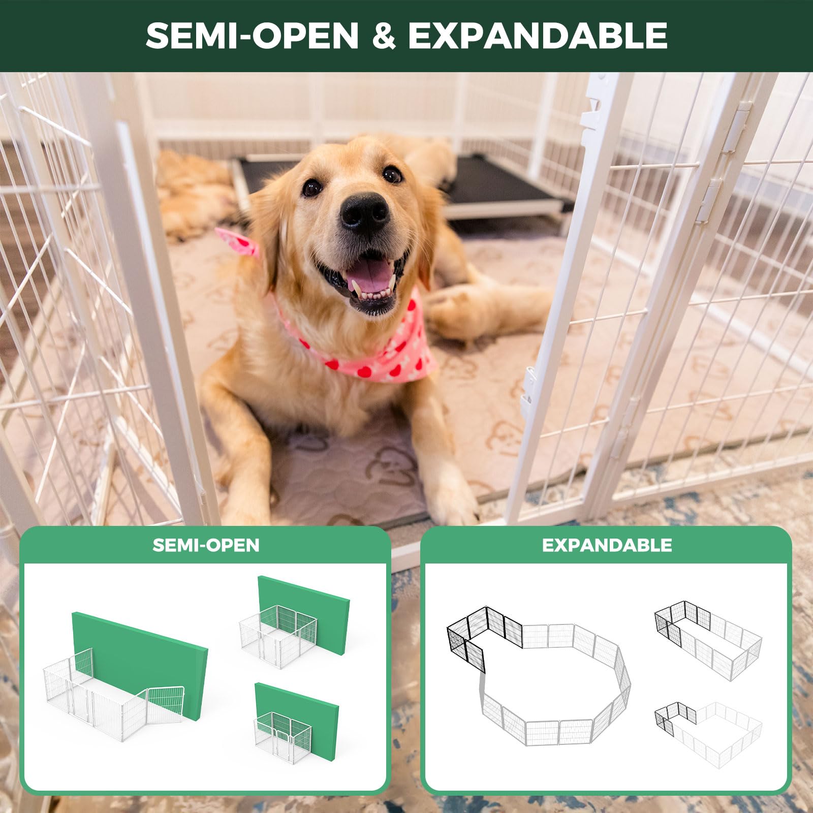 FXW Homeplus Unleashed indoor dog pen in living room setup.