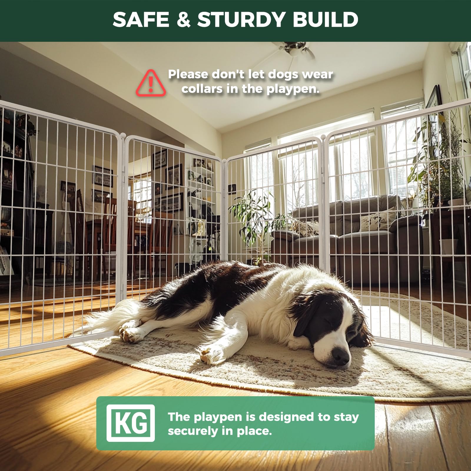 FXW Homeplus Unleashed no sharp edges keeps dogs safe during play