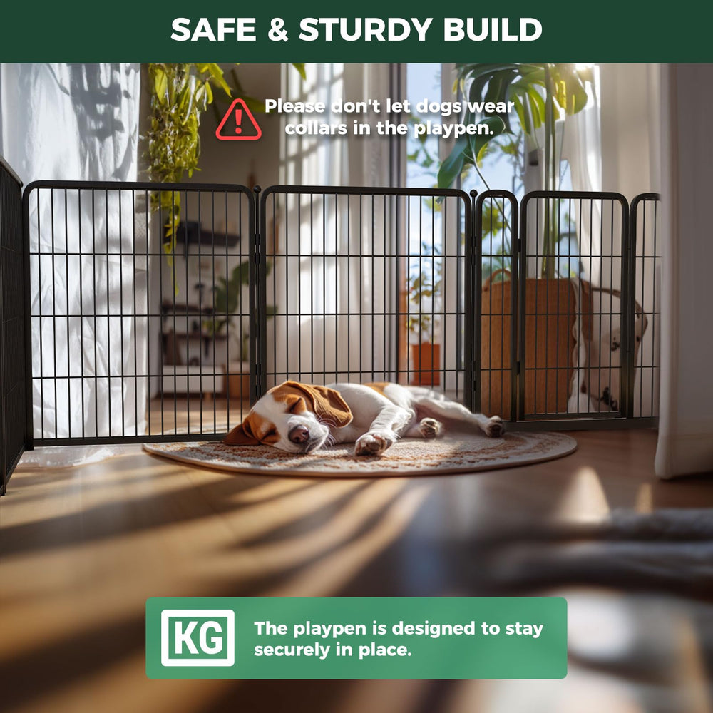 FXW Homeplus Unleashed frame detail conveys robust construction for jumping and wiggle-safe use.