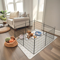 FXW MiniPaws Unleashed puppy playtime in a compact indoor area.