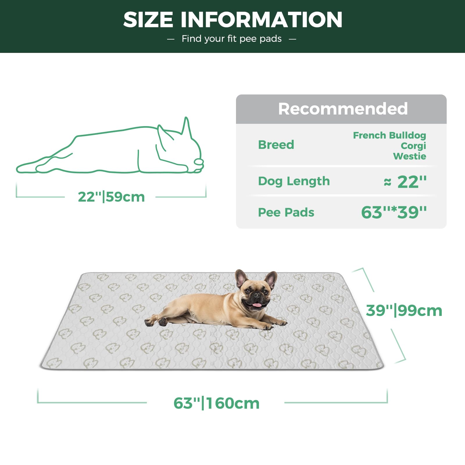 FXW puppy pad in eco-friendly reusable design reduces waste and costs.