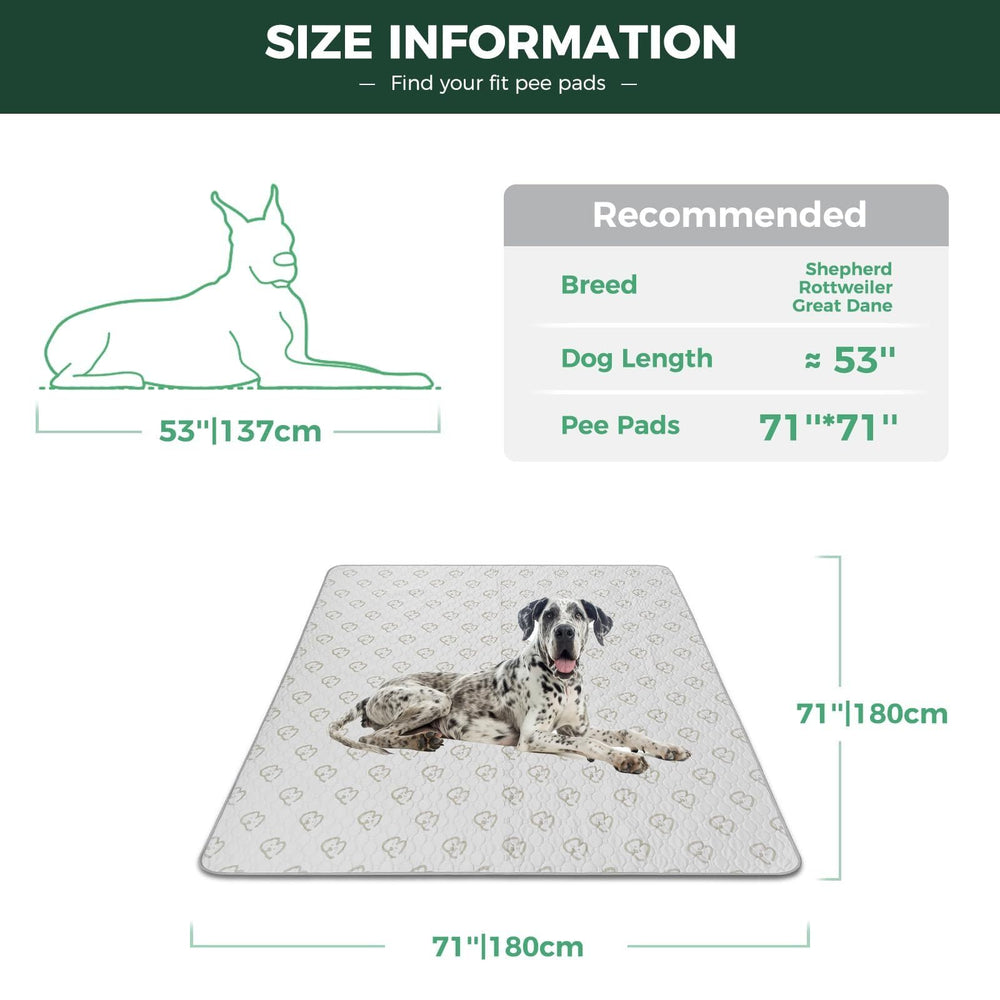 FXW puppy-pad-eco-friendly-reusable highlights reuse and waste reduction