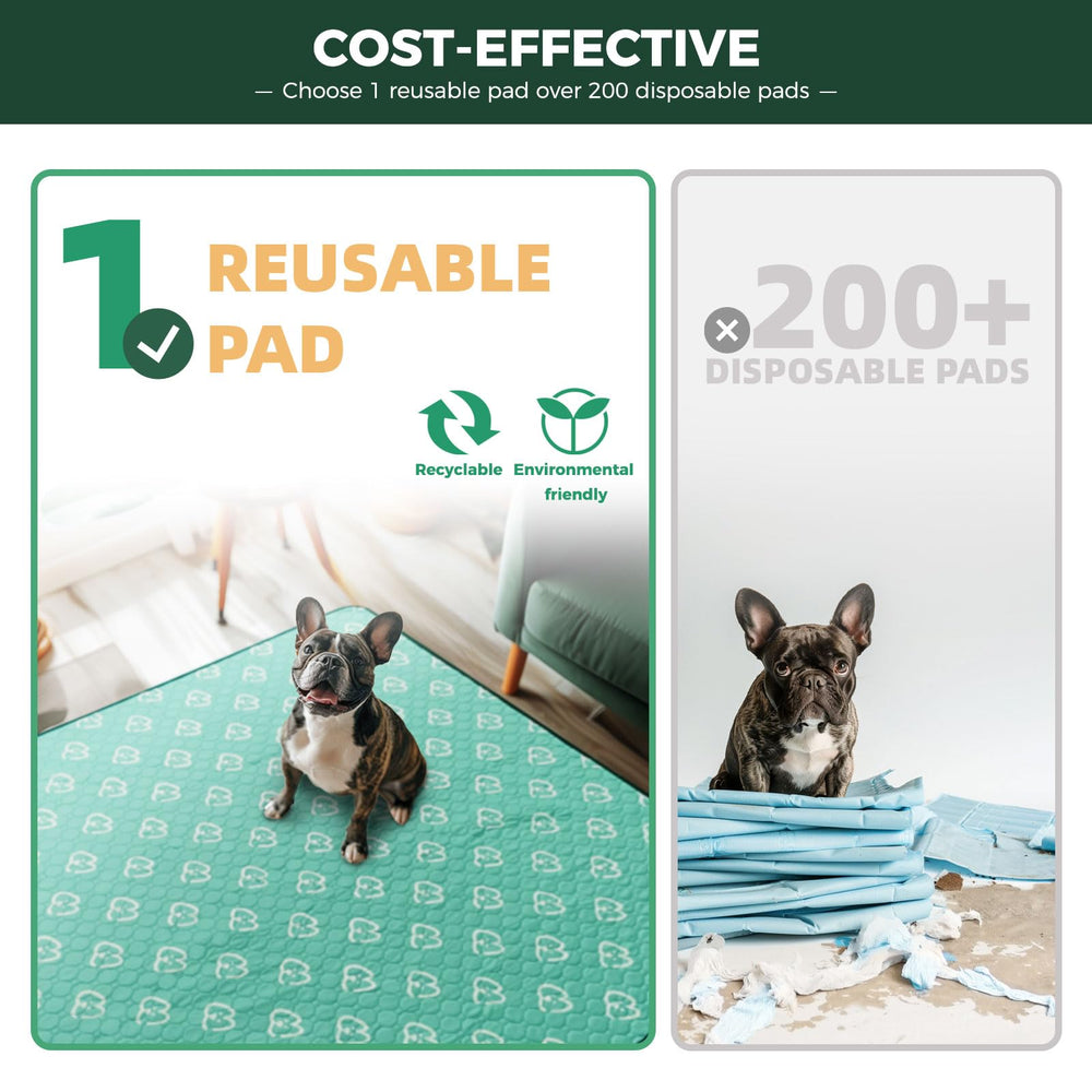 FXW reusable dog pad eco-friendly option for long-term training.