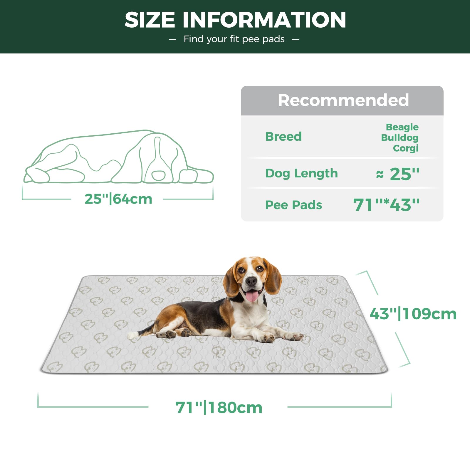 FXW reusable puppy pads offer eco-friendly, cost-saving daily use.