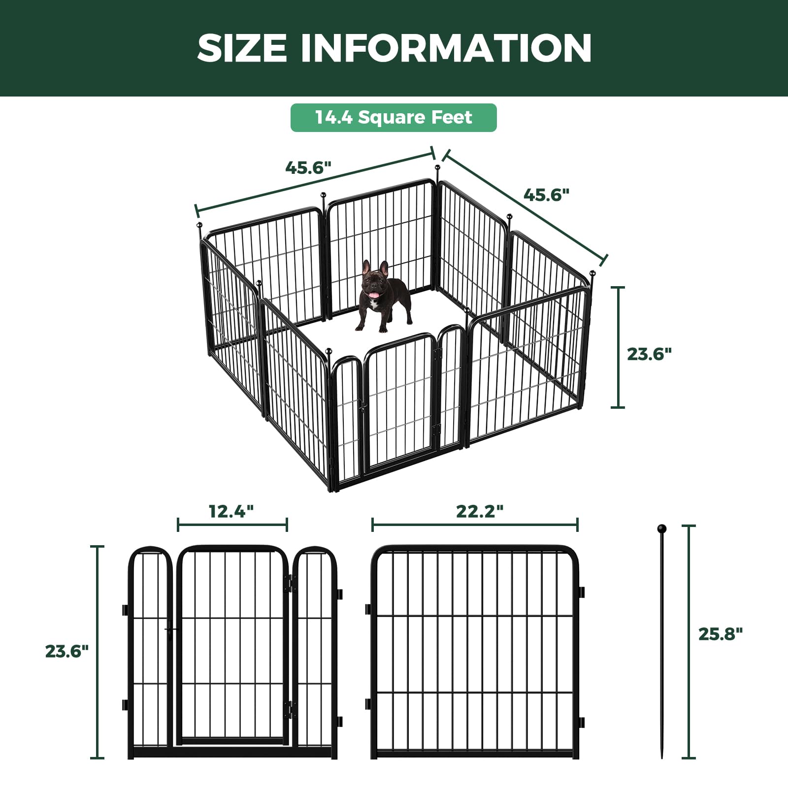 FXW Rollick puppy-friendly playtime in a contained area.