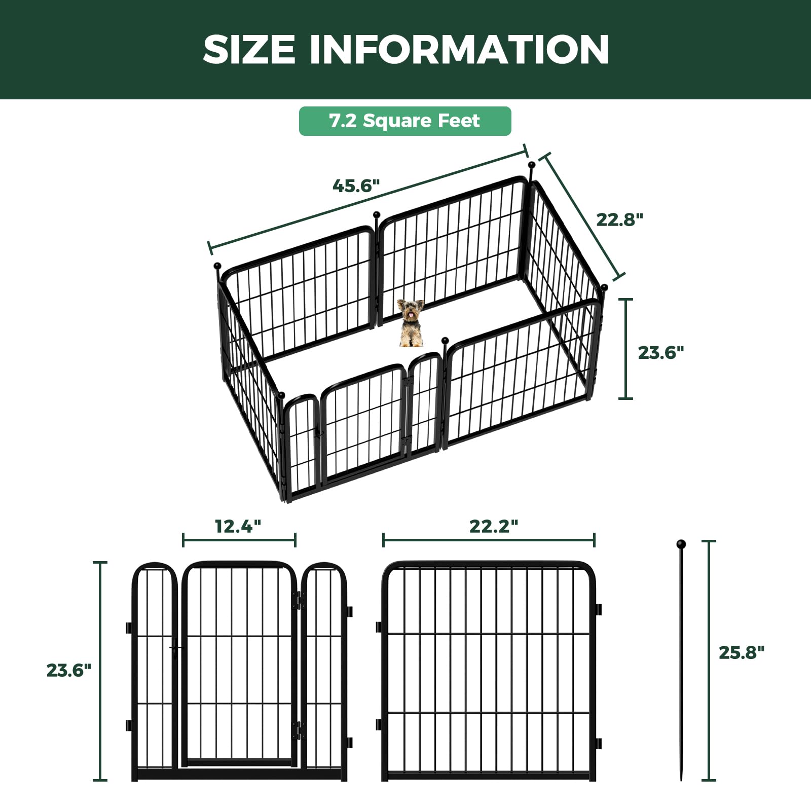 FXW Rollick Unleashed indoor setup on rug protects floors while pets play