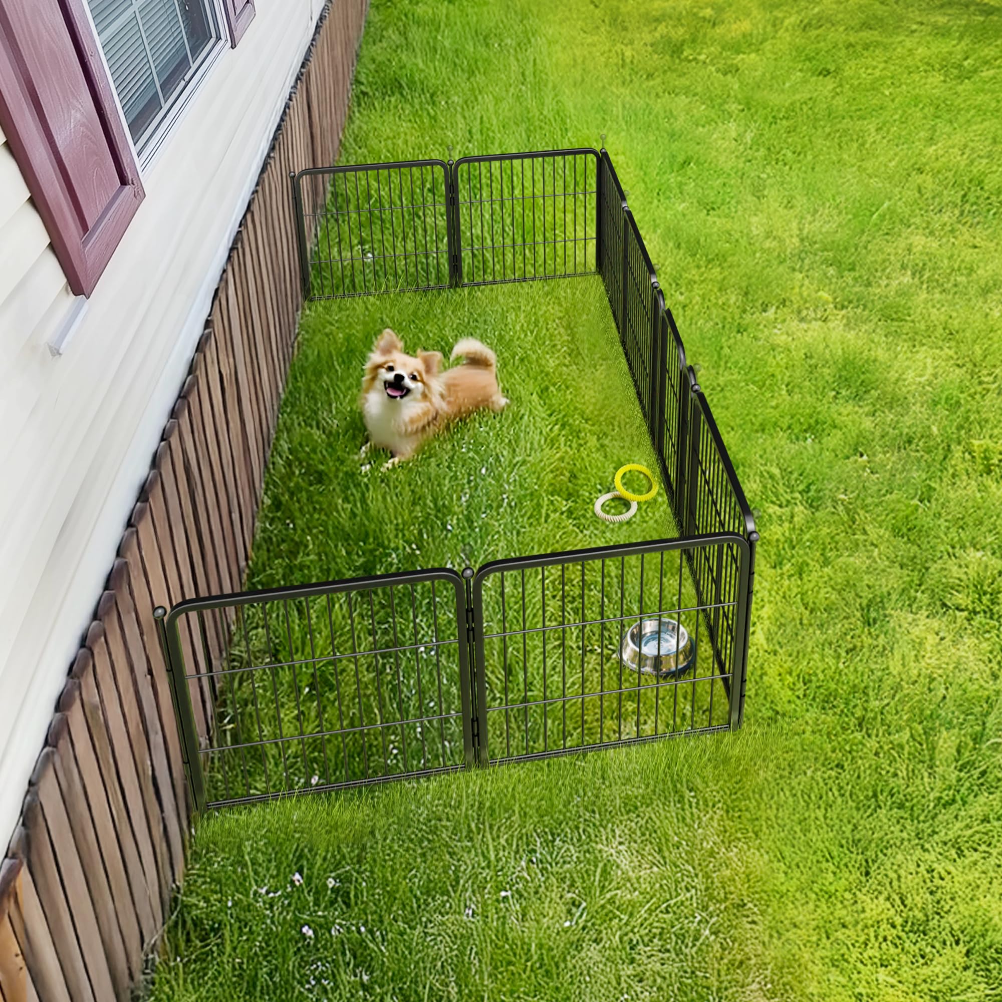 FXW Rollick yard use keeps small dogs safe outdoors.