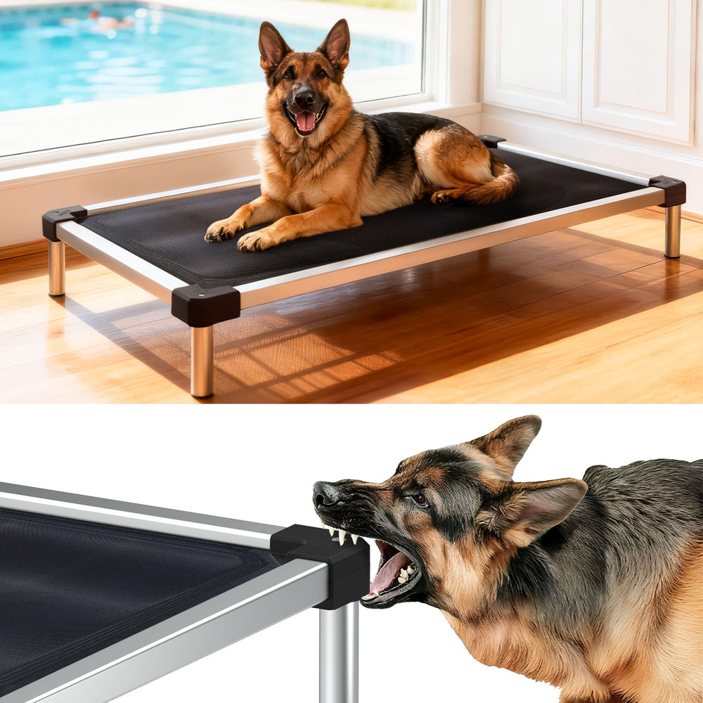 FXW TitanNest chew-proof frame demonstrates durable construction for chewers