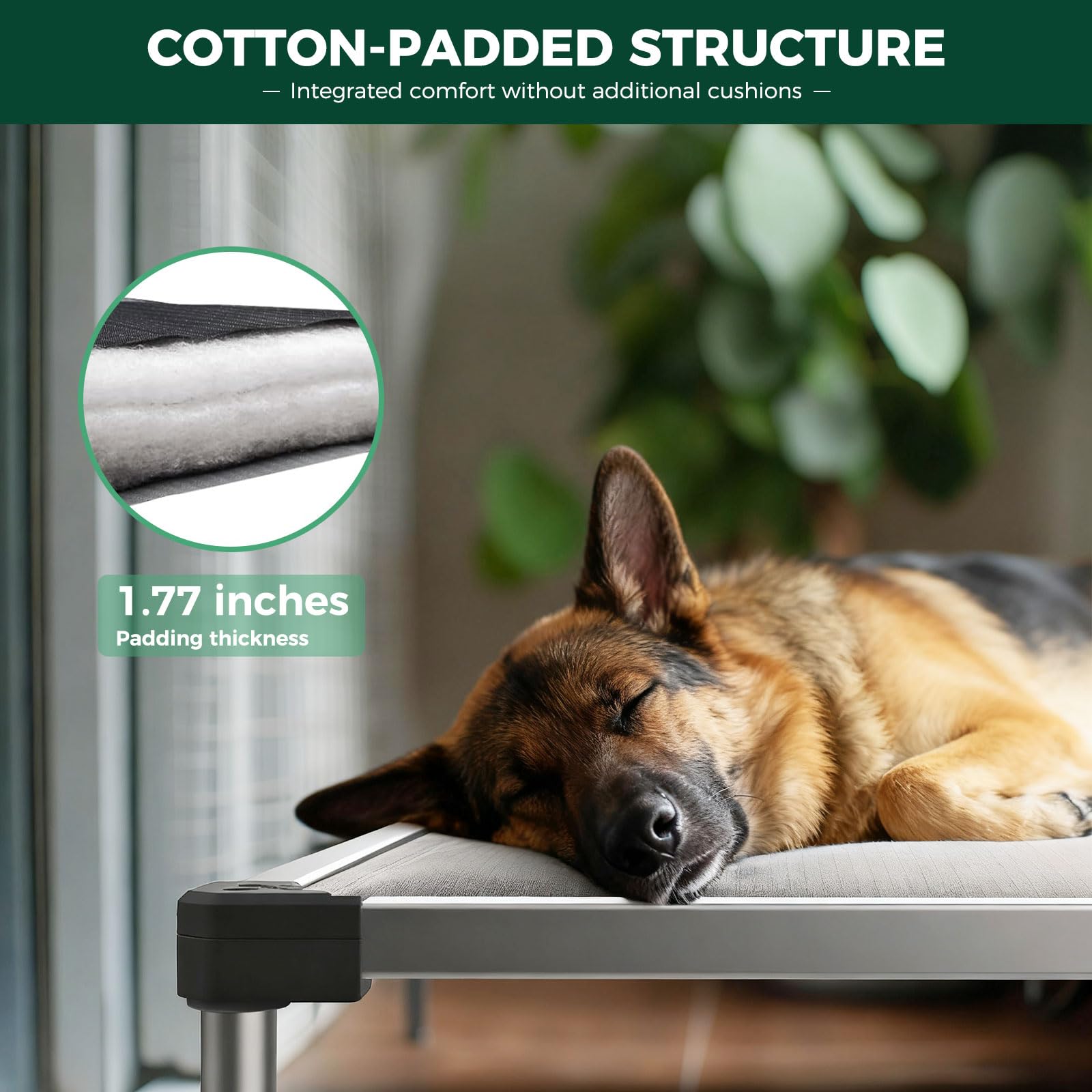 FXW TitanNest non-slip feet provide stable indoor resting for large dogs.