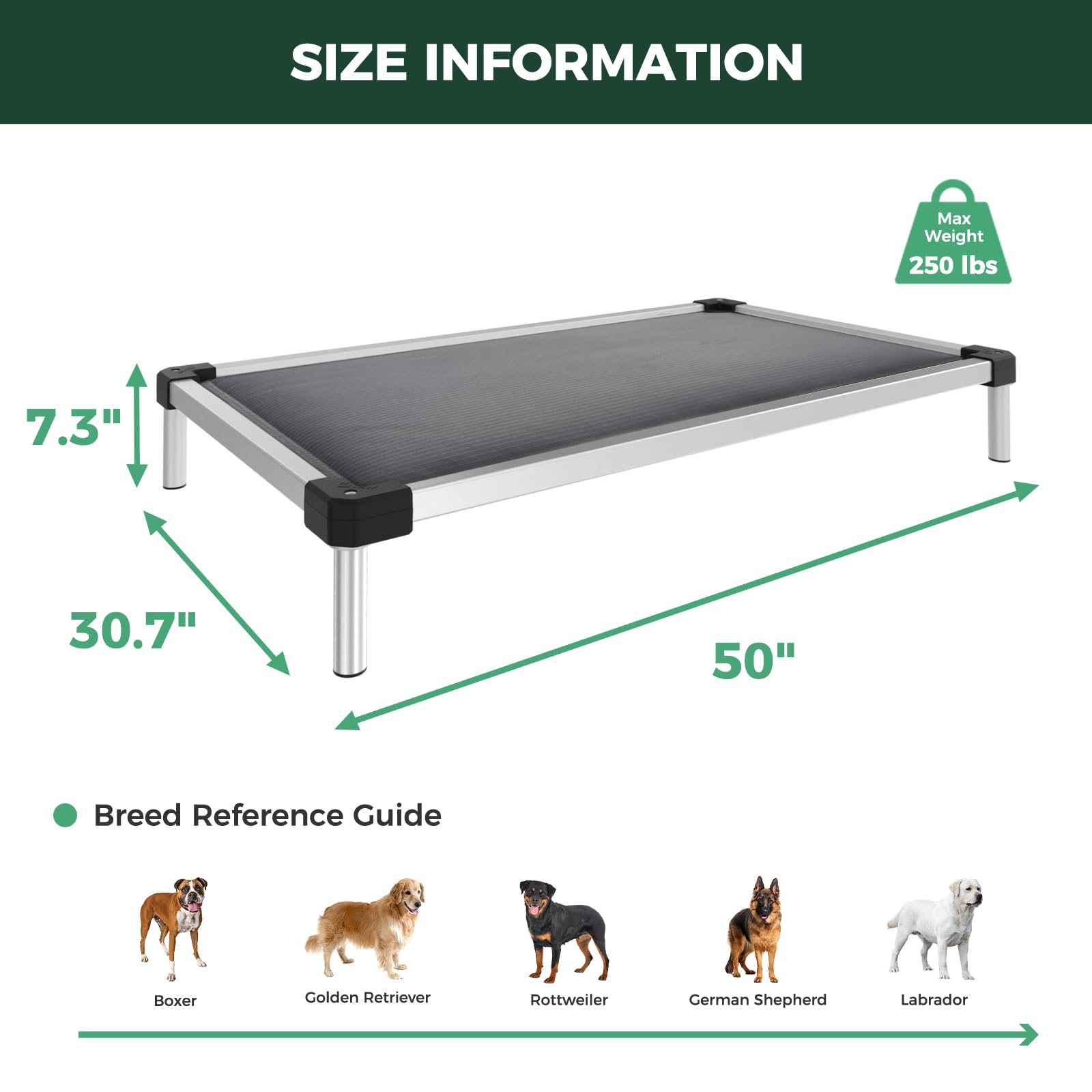FXW TitanNest suited for puppies and seniors with easy on/off elevation.