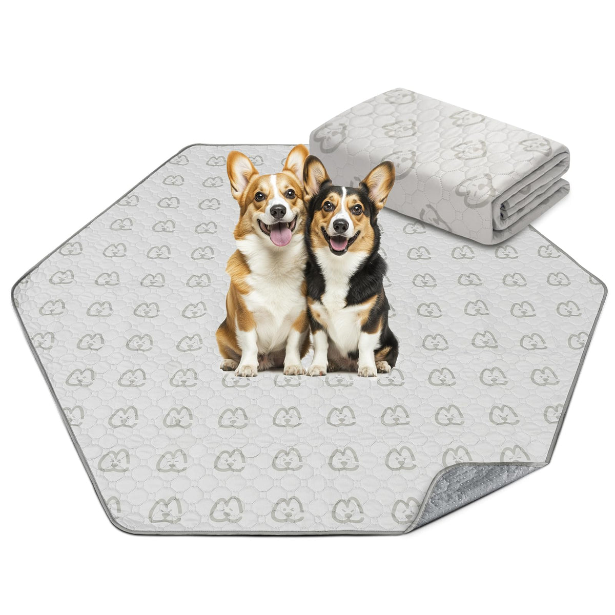 FXW washable pee pad with absorbent core protects floors.