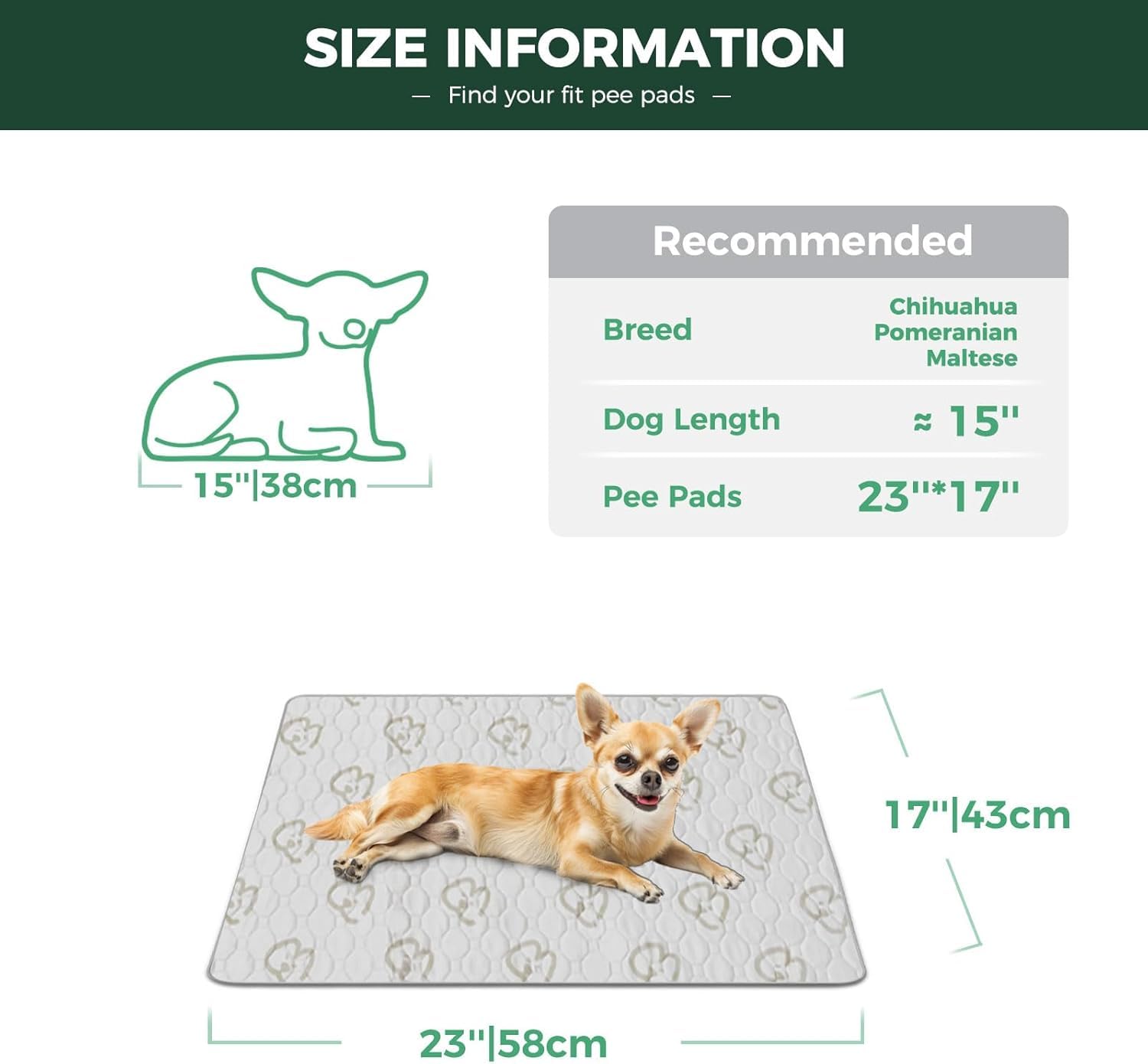 FXW washable pee pad absorbent top layer highlights high liquid capacity for a dry play area.