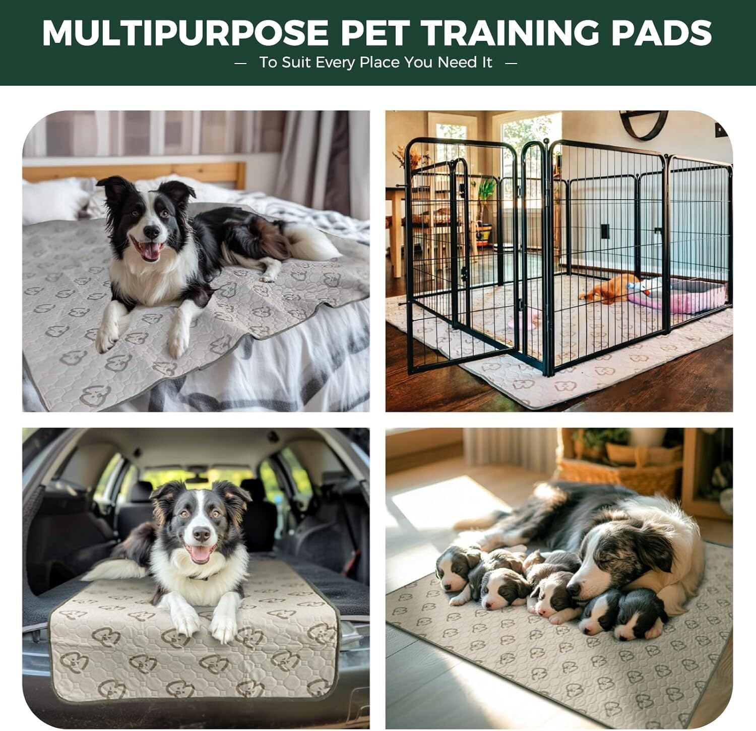 FXW washable pee pad doubles as crate pad for versatile training