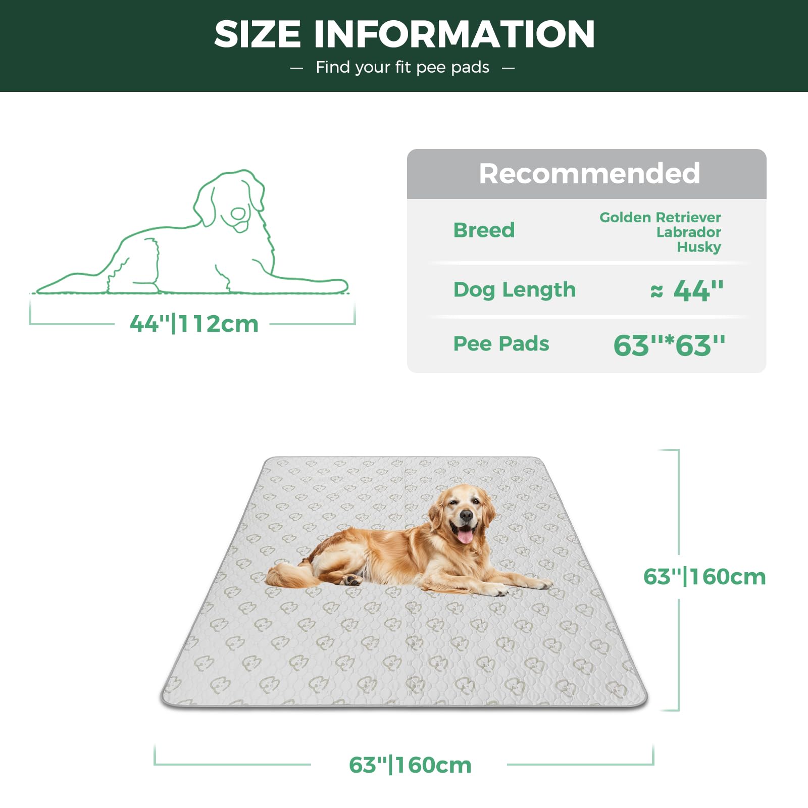 FXW washable pee pad machine-washable close-up highlights reuse and eco-friendly design.