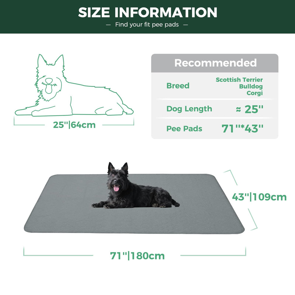 FXW dog mat showing waterproof shield to protect floors