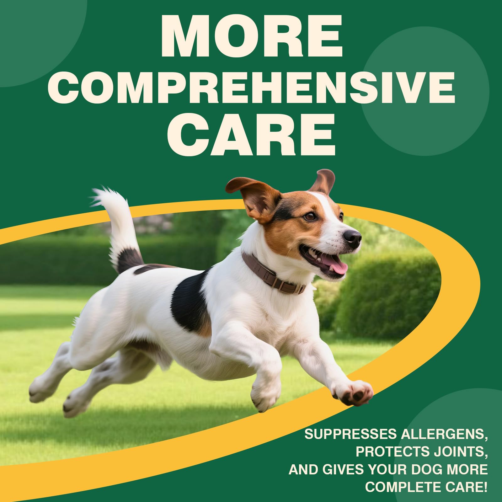 FXZRQJ dog allergy chews easy-dosing spoon view suggests simple daily feeding routine