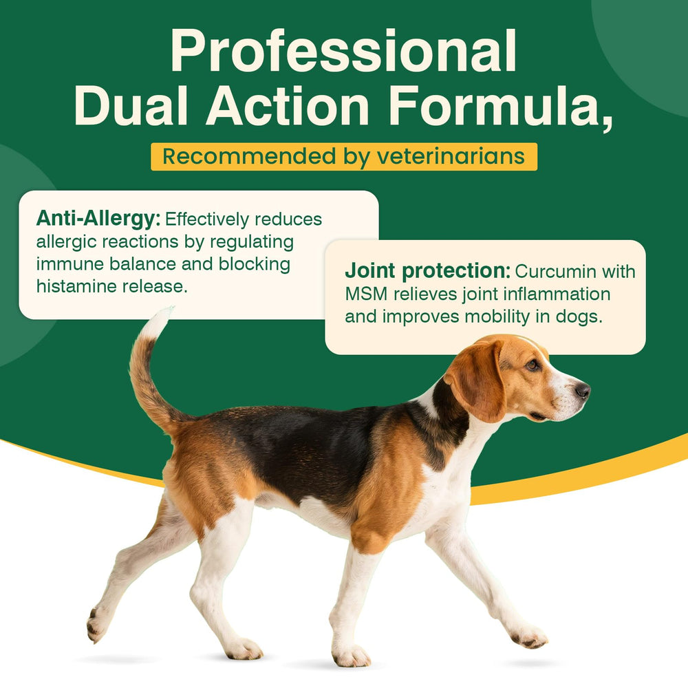 FXZRQJ dog allergy chews omega-3 and digestive support image highlights fish oil for skin benefits
