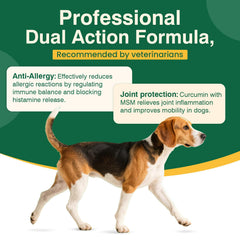 FXZRQJ dog allergy chews omega-3 and digestive support image highlights fish oil for skin benefits